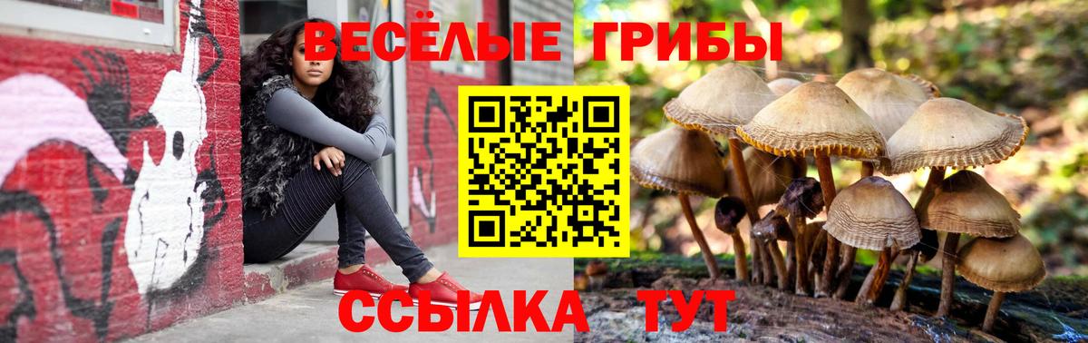 купить  сайты  Галлюциногенные грибы GOLDEN TEACHER  Вход с VPN  Энгельс 