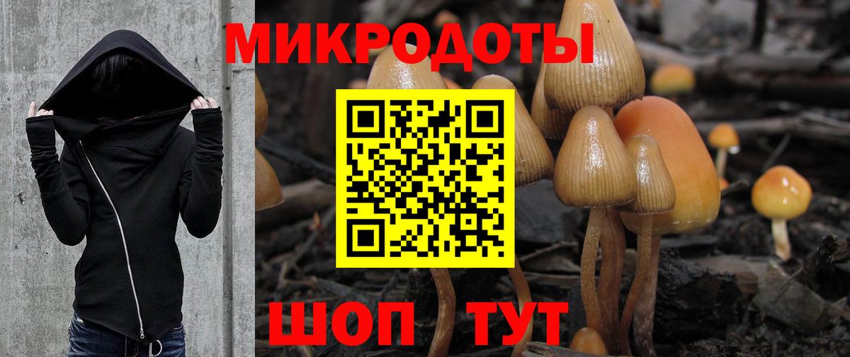 Псилоцибиновые грибы прущие грибы Энгельс